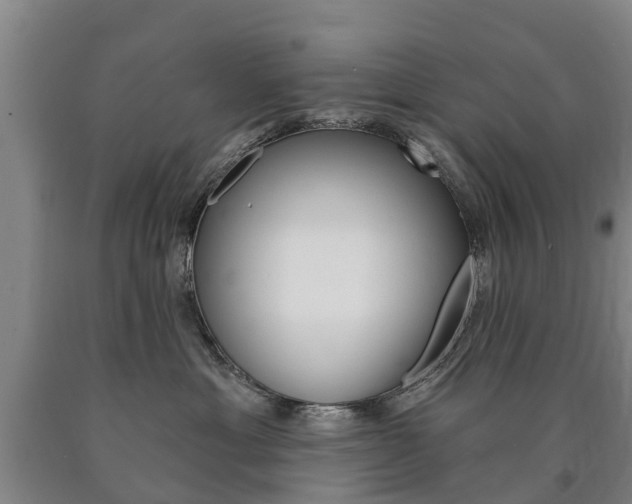 X0000090910429200707301037