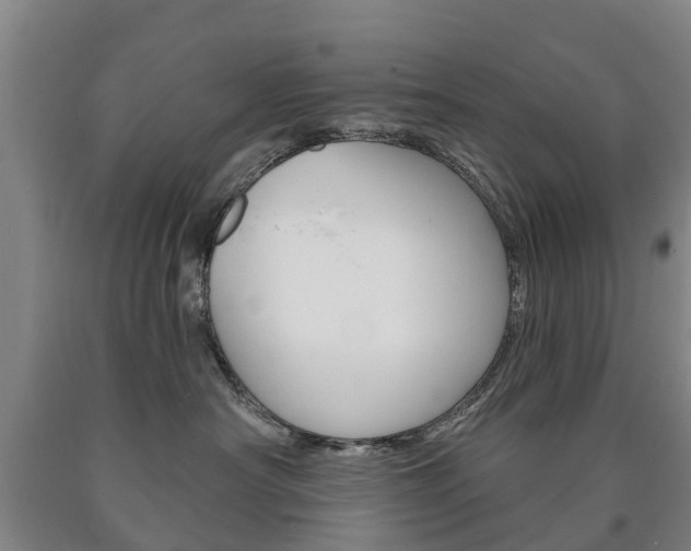 X0000090910430200707301037