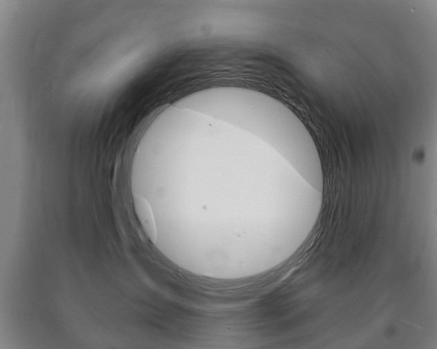 X0000090910431200707301037