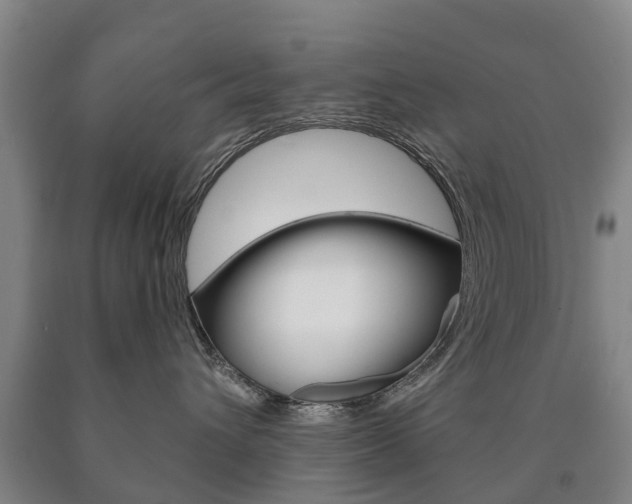 X0000090910432200707301037