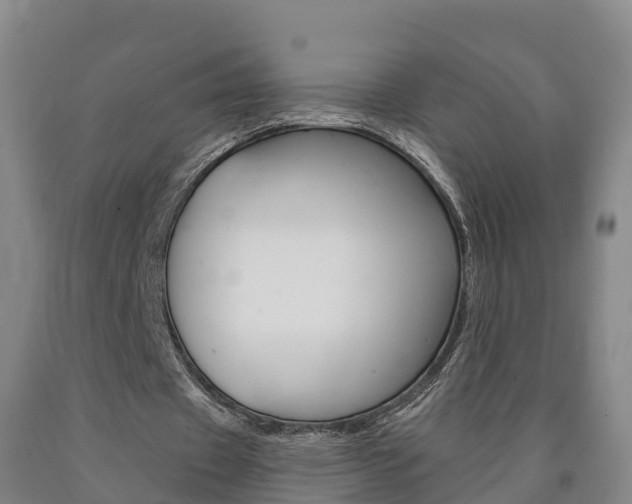 X0000090910433200707301036