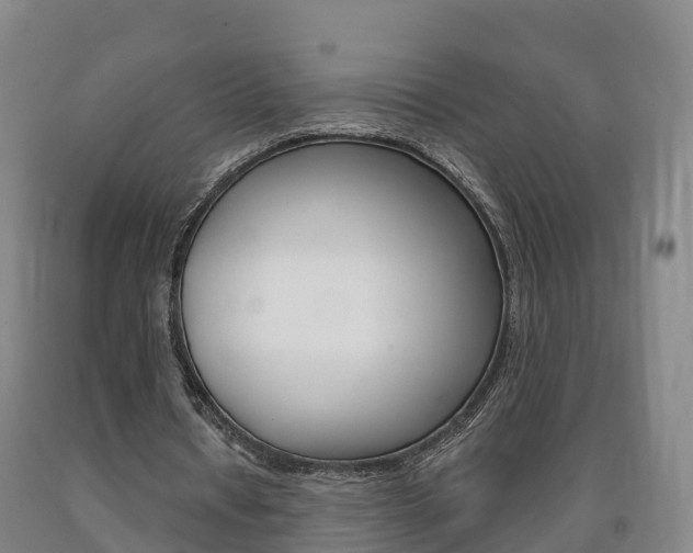 X0000090910434200707301036