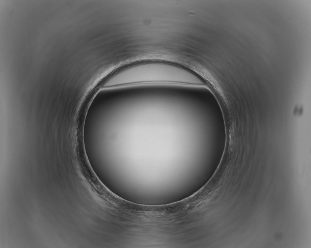 X0000090910436200707301036