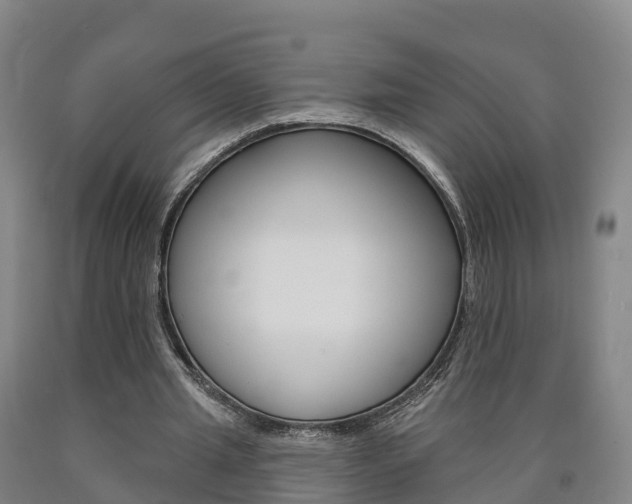 X0000090910437200707301036