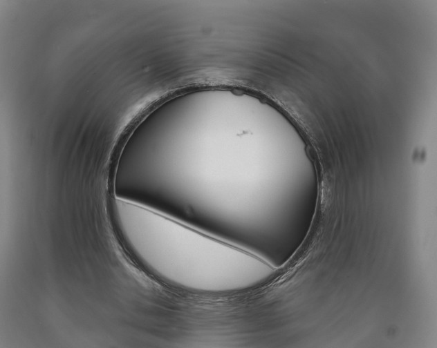 X0000090910438200707301036