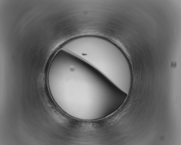 X0000090910439200707301036