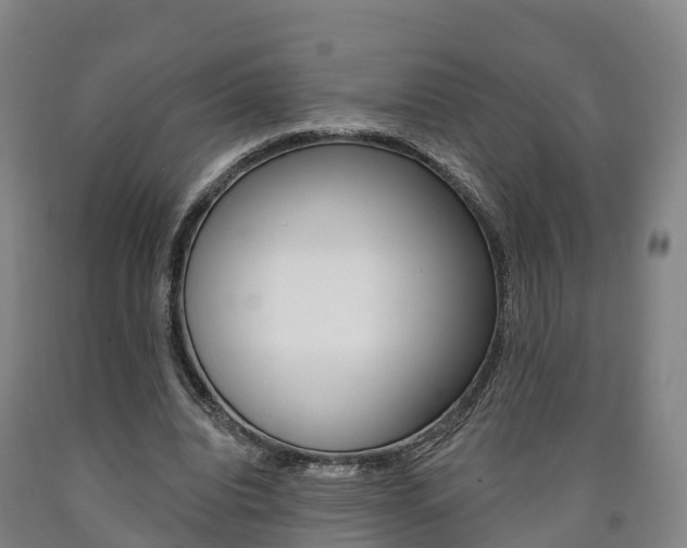 X0000090910440200707301036