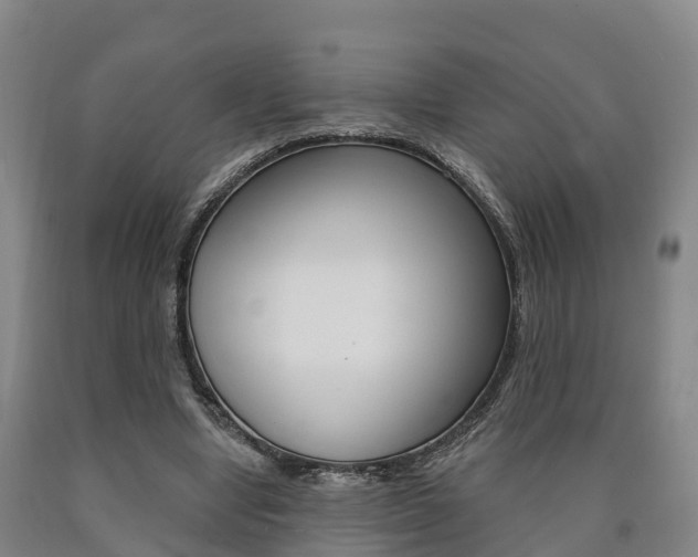 X0000090910442200707301036