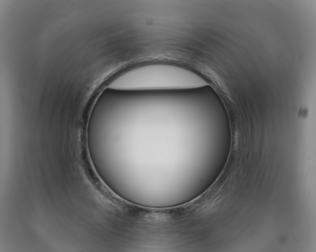 X0000090910444200707301036