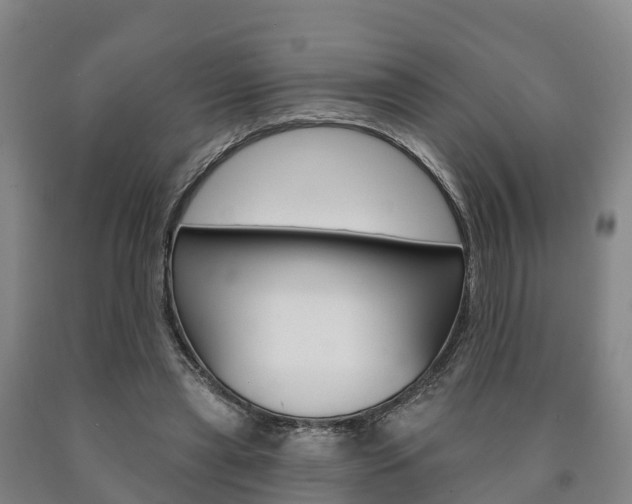 X0000090910445200707301036