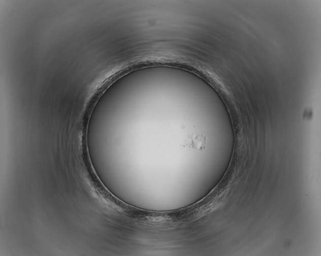 X0000090910446200707301036