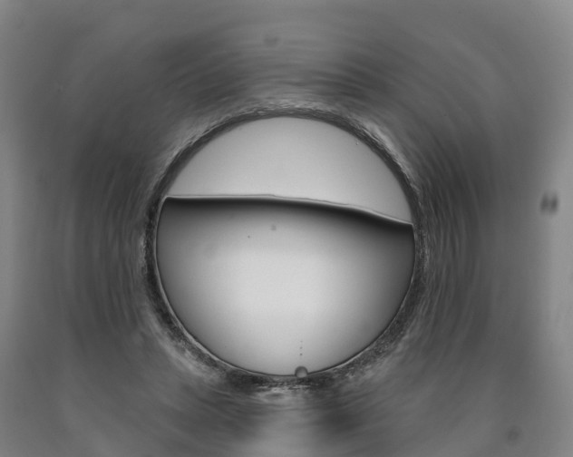 X0000090910447200707301036