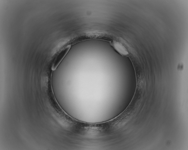 X0000090910448200707301036