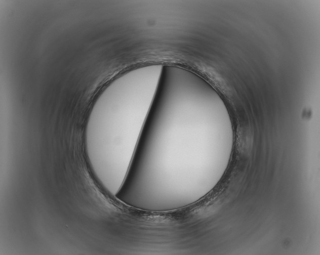 X0000090910449200707301036