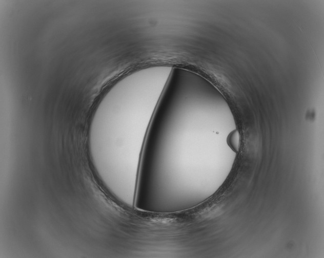 X0000090910450200707301036