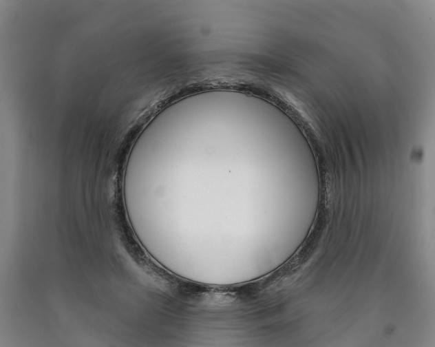 X0000090910451200707301036