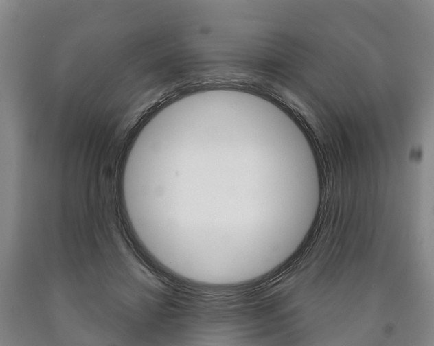 X0000090910452200707301036