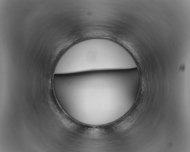 X0000090910453200707301036