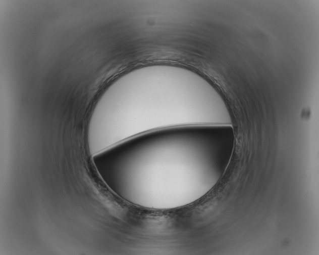 X0000090910454200707301036