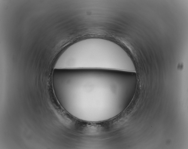 X0000090910455200707301036