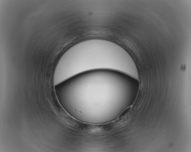 X0000090910456200707301036
