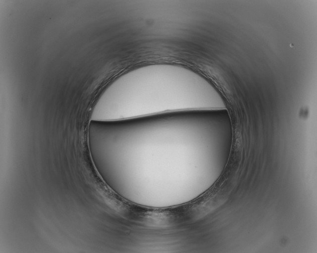 X0000090910457200707301036