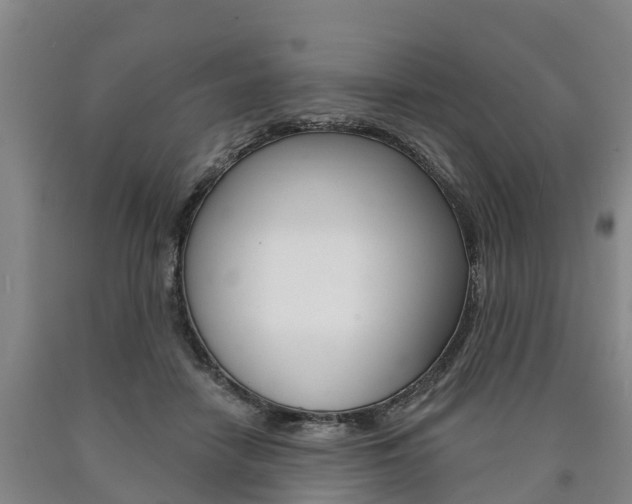 X0000090910458200707301036