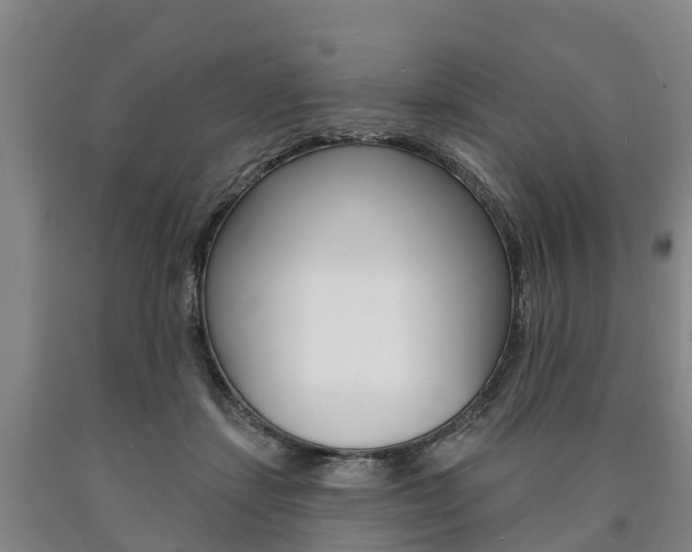 X0000090910459200707301036