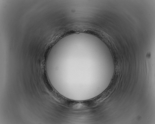 X0000090910460200707301036