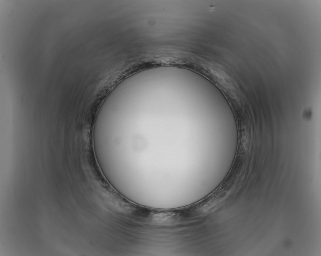 X0000090910461200707301036
