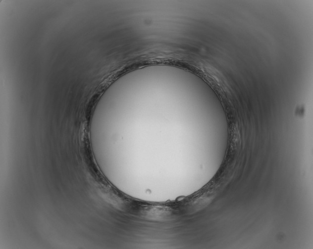 X0000090910463200707301036