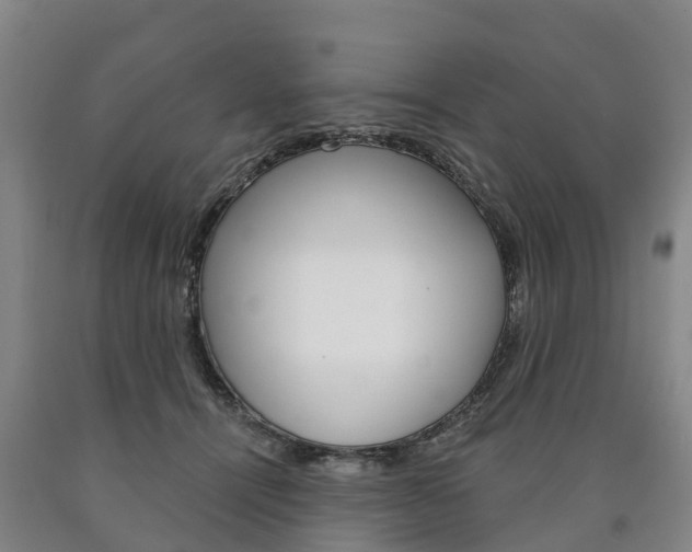 X0000090910464200707301036