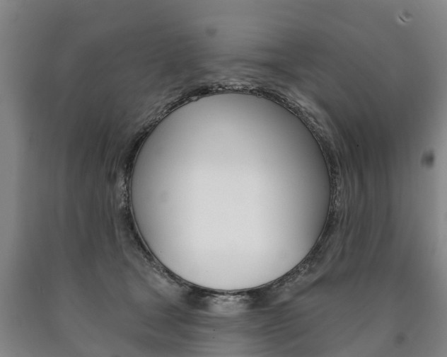 X0000090910465200707301036