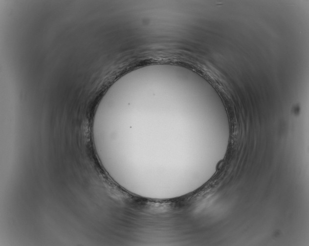 X0000090910469200707301036