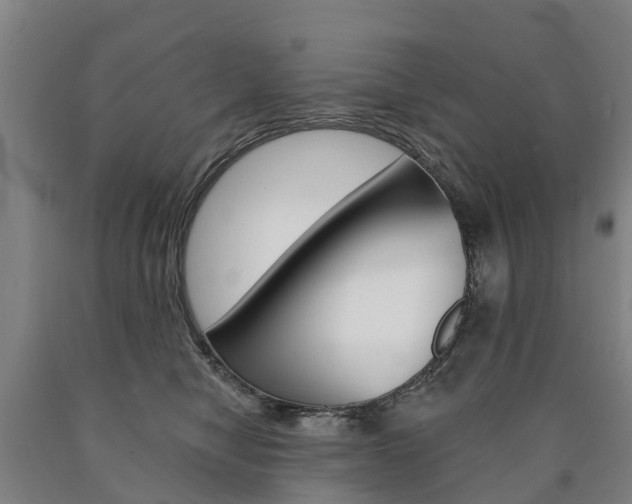 X0000090910470200707301036