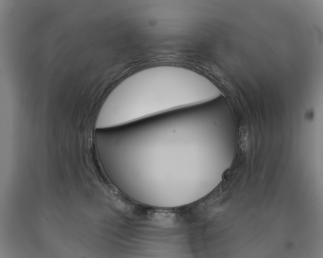 X0000090910471200707301036