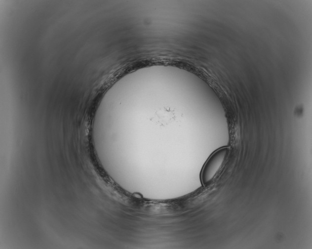 X0000090910472200707301036