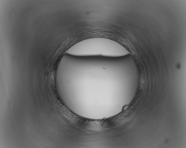 X0000090910473200707301036
