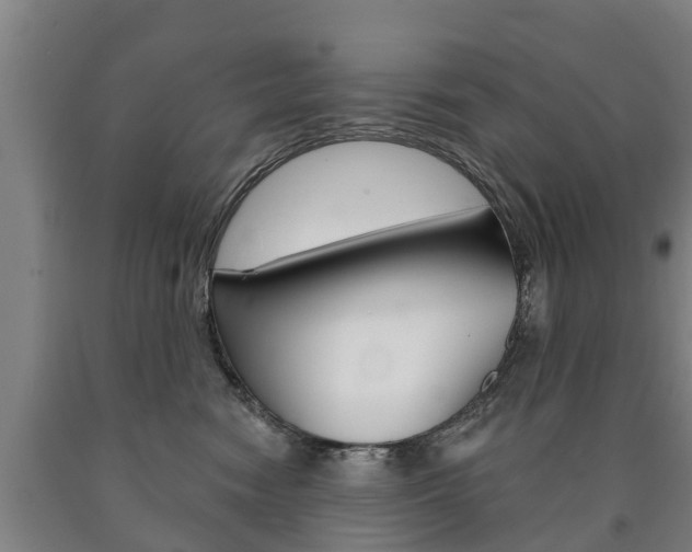 X0000090910474200707301036