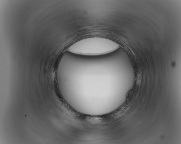 X0000090910476200707301037
