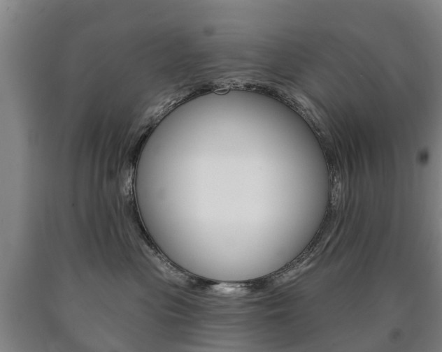 X0000090910477200707301037