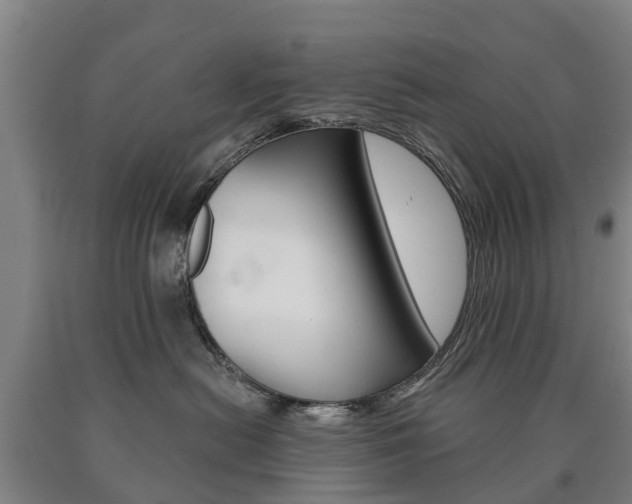 X0000090910478200707301037