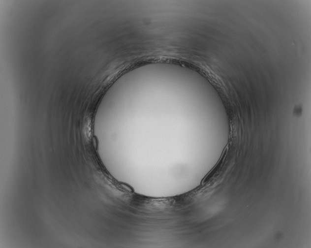 X0000090910479200707301037