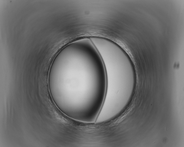 X0000090910481200707301036