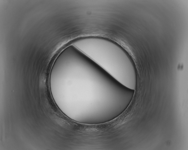 X0000090910483200707301036