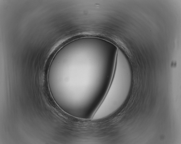 X0000090910484200707301036