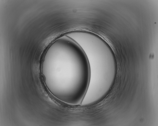 X0000090910485200707301036