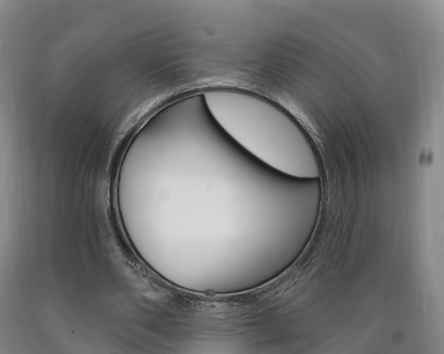 X0000090910486200707301036