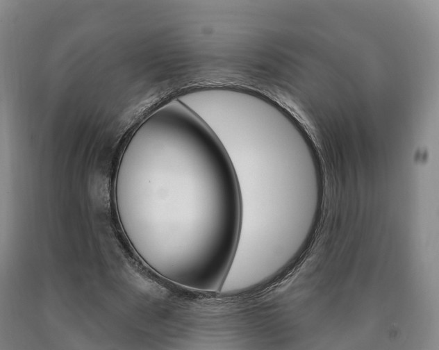 X0000090910489200707301036