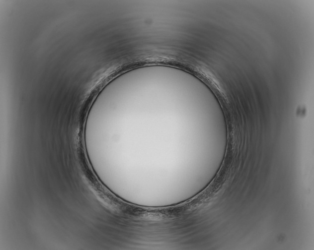 X0000090910490200707301036